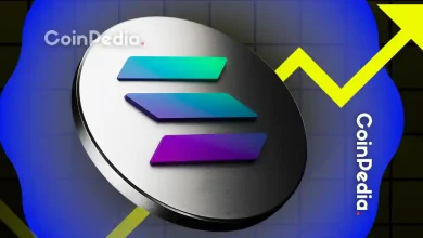 Solana(SOL)代币发行量创 11 个月新低,价格暴跌——炒作周期是否告一段落?