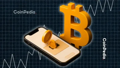 美国政府成为比特币的主要持有者