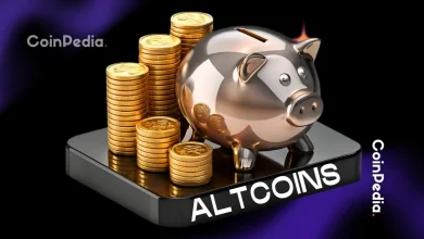 2026年值得关注的三种低成本山寨币：Digitap、狗狗币和卡尔达诺